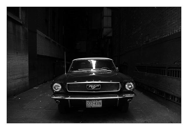 Picture of an old Mustang found is some alley in Chicago.