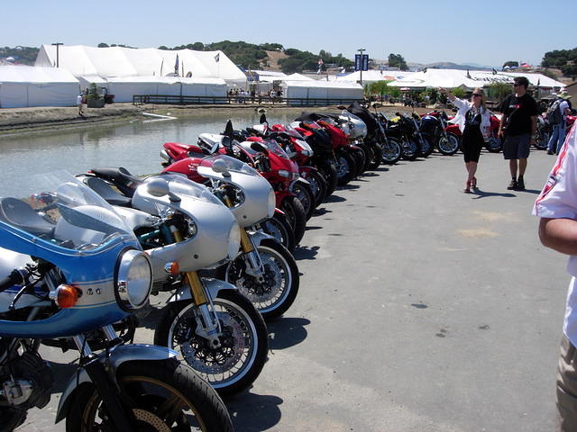 Ducs all in a row