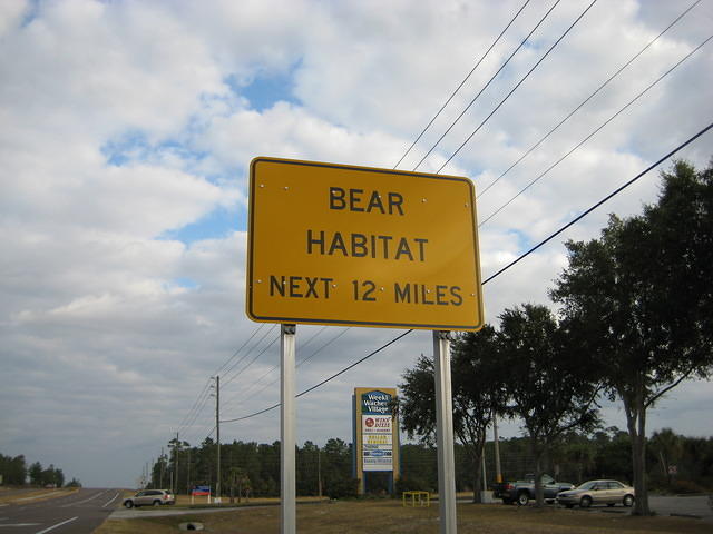 Bear Warning