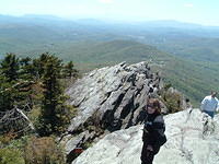 Up on Grandfather Mountain